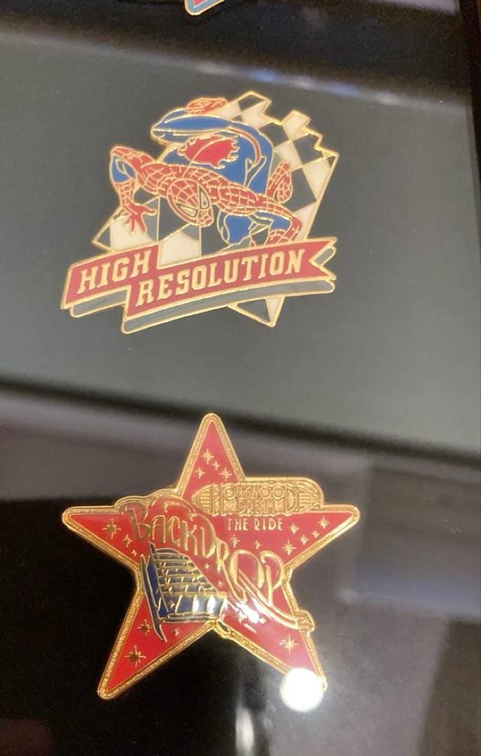 【希少・非売品】USJ 12周年ピンバッジ　盾&箱付き　バックドロップピンズ