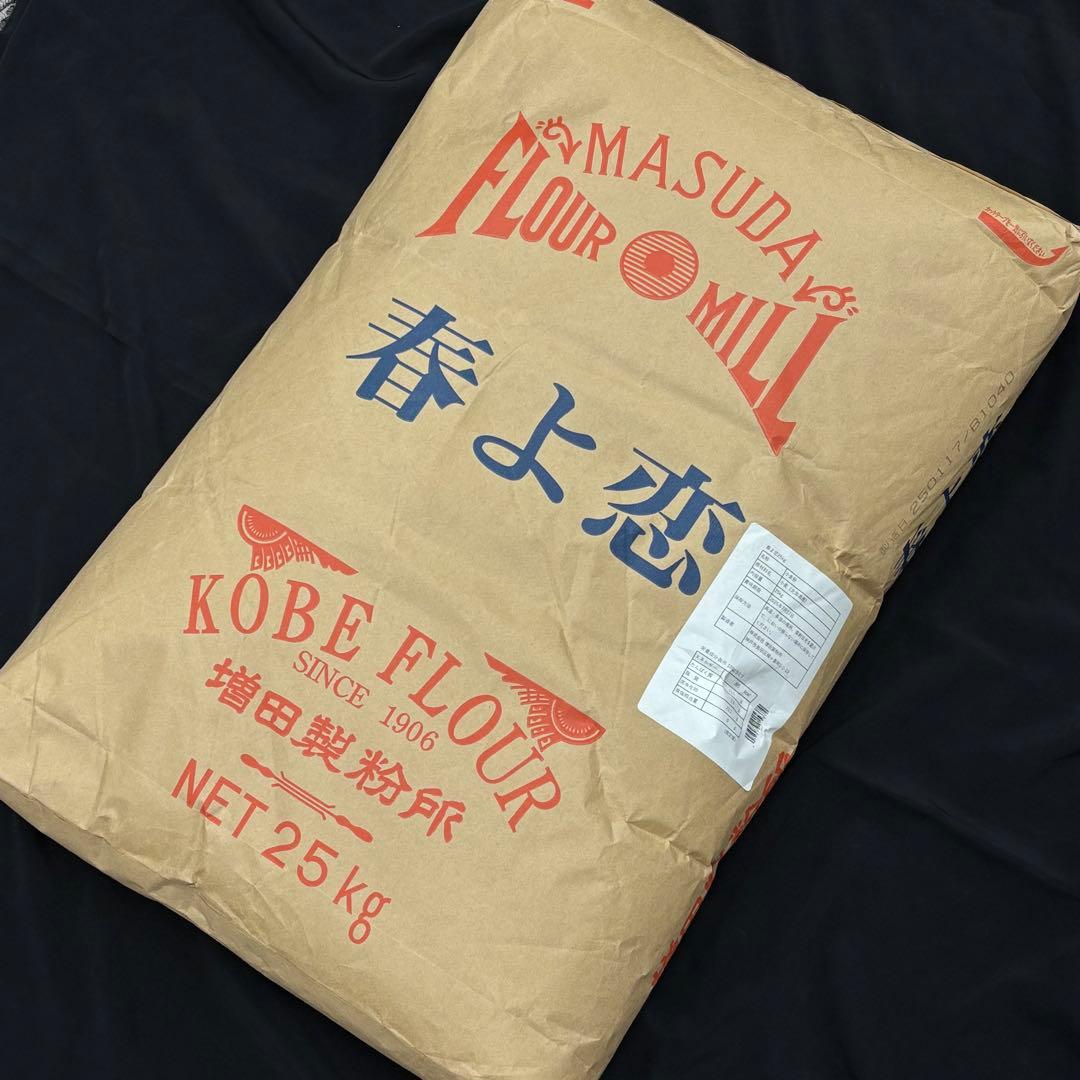 【2袋　賞味期限2025年7月17日】 春よ恋　増田製粉所　業務用小麦粉25kg