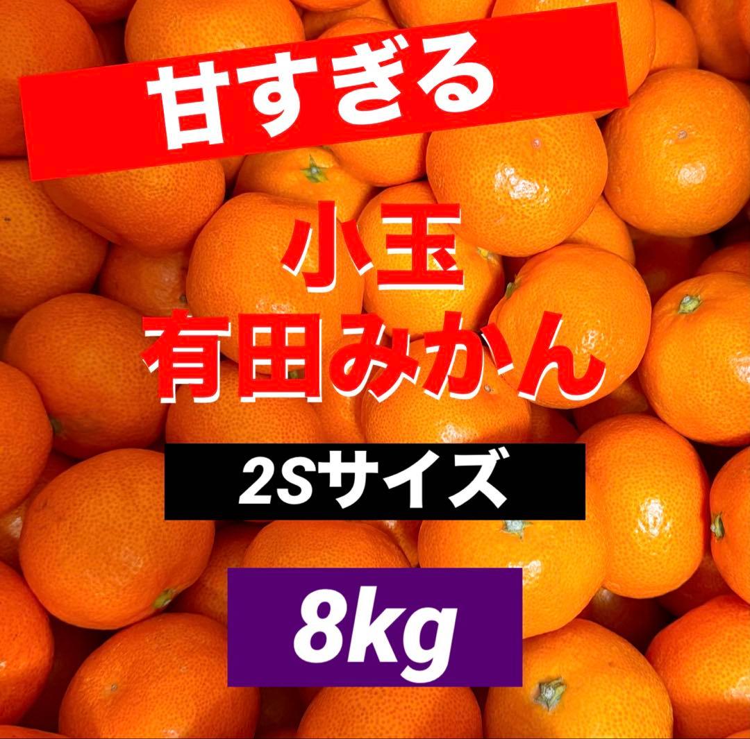 821)数量限定　甘すぎる　有田みかん　果物 　みかん　小玉　旬