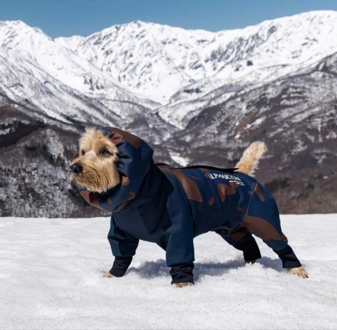 ALPHAICON アルファアイコン スノードッグガード☆雪遊び☆DXM