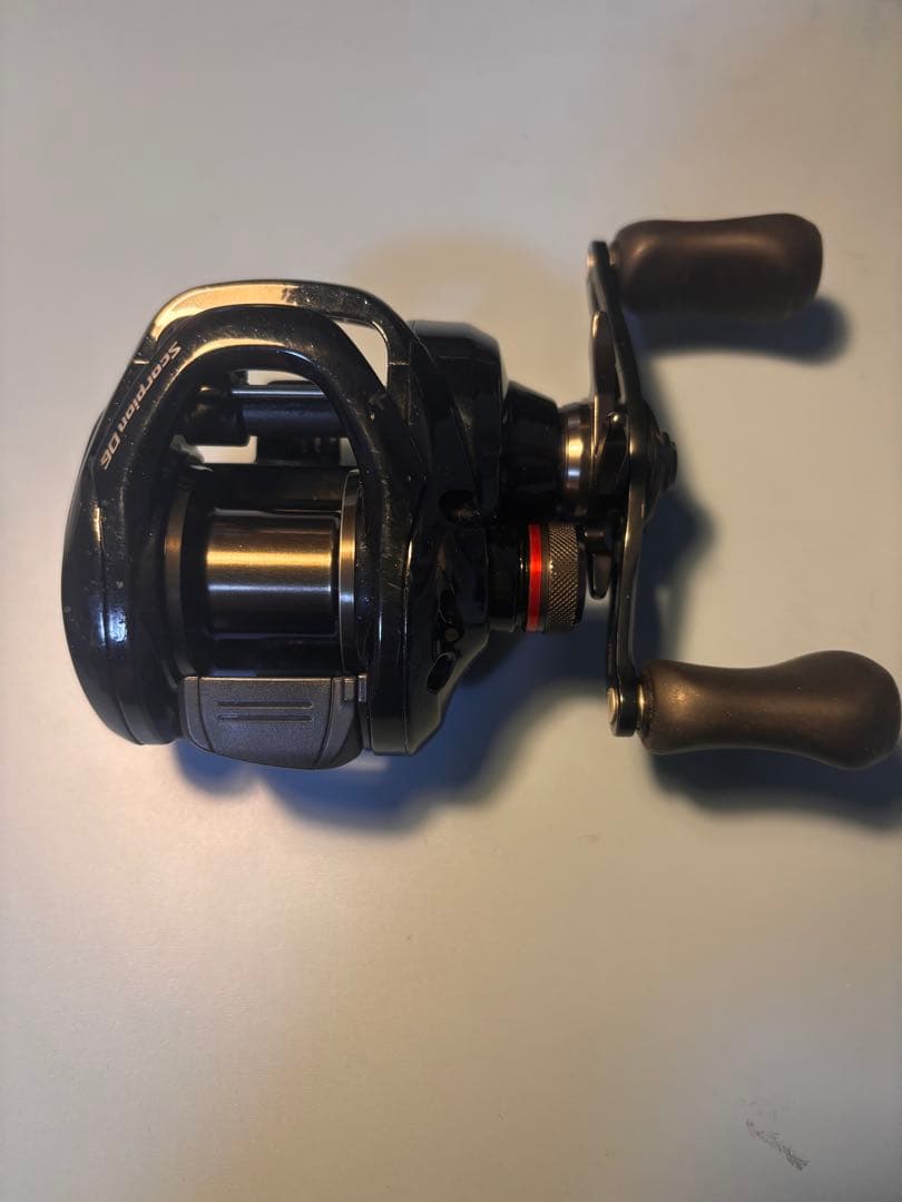 17スコーピオンDC 100HG コイケフルキャスト付き