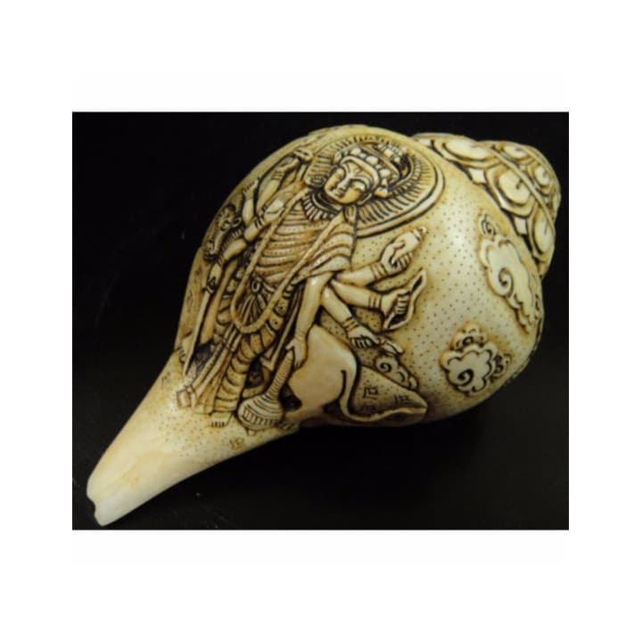 ◆チベット密教法具　法螺貝（シャンカ）ドゥルガー