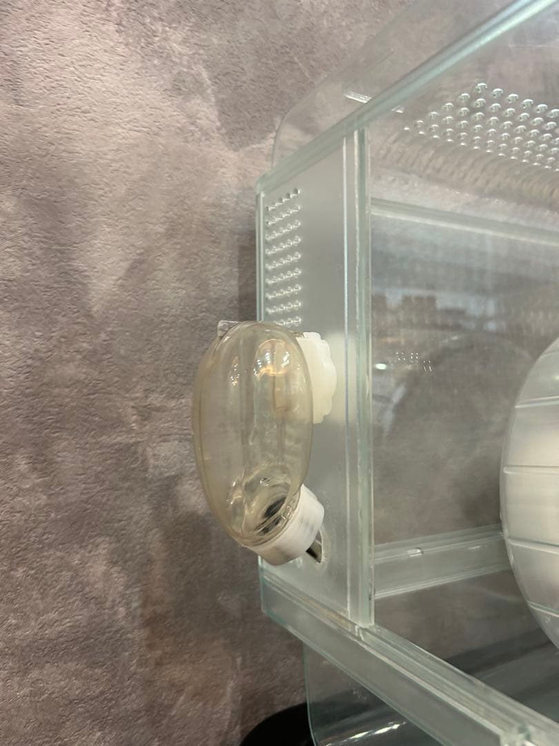 【総額2万円相当！ハムスター飼育セット】GEX グラスハーモニー・新品おやつ付き