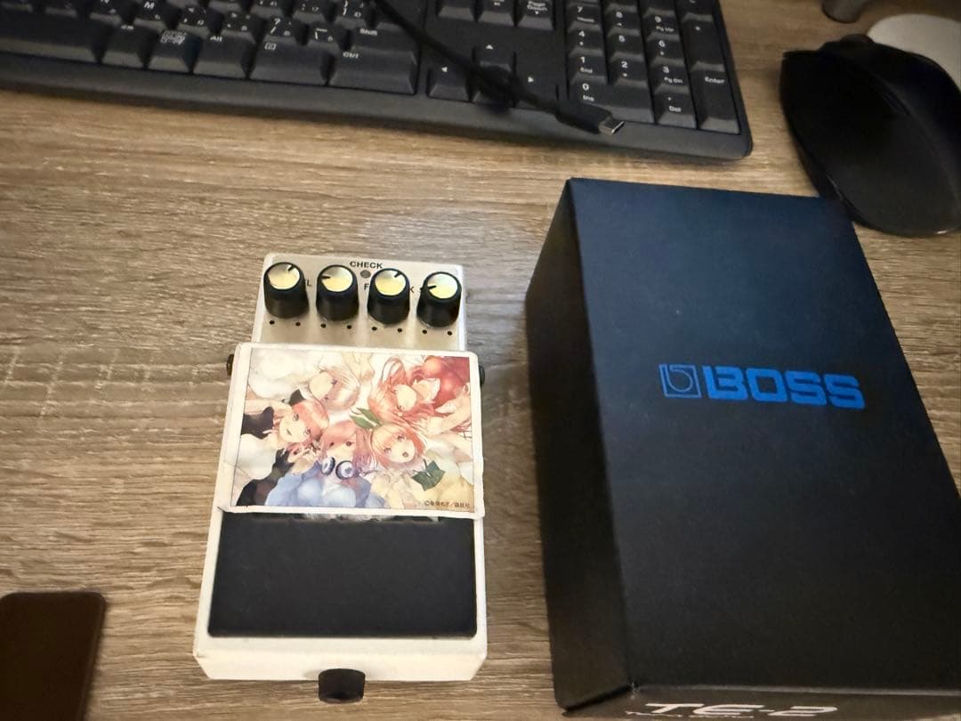 BOSS エフェクター TE-2 TERA ECHO アニメデザイン