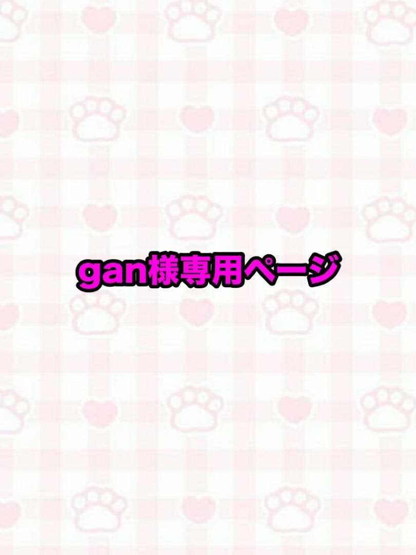 gan ページ