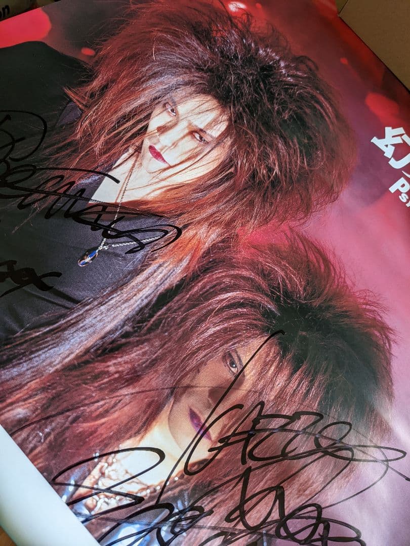 幻覚アレルギー 直筆サイン入り ポスター かまいたち COLOR ヴィジュアル系