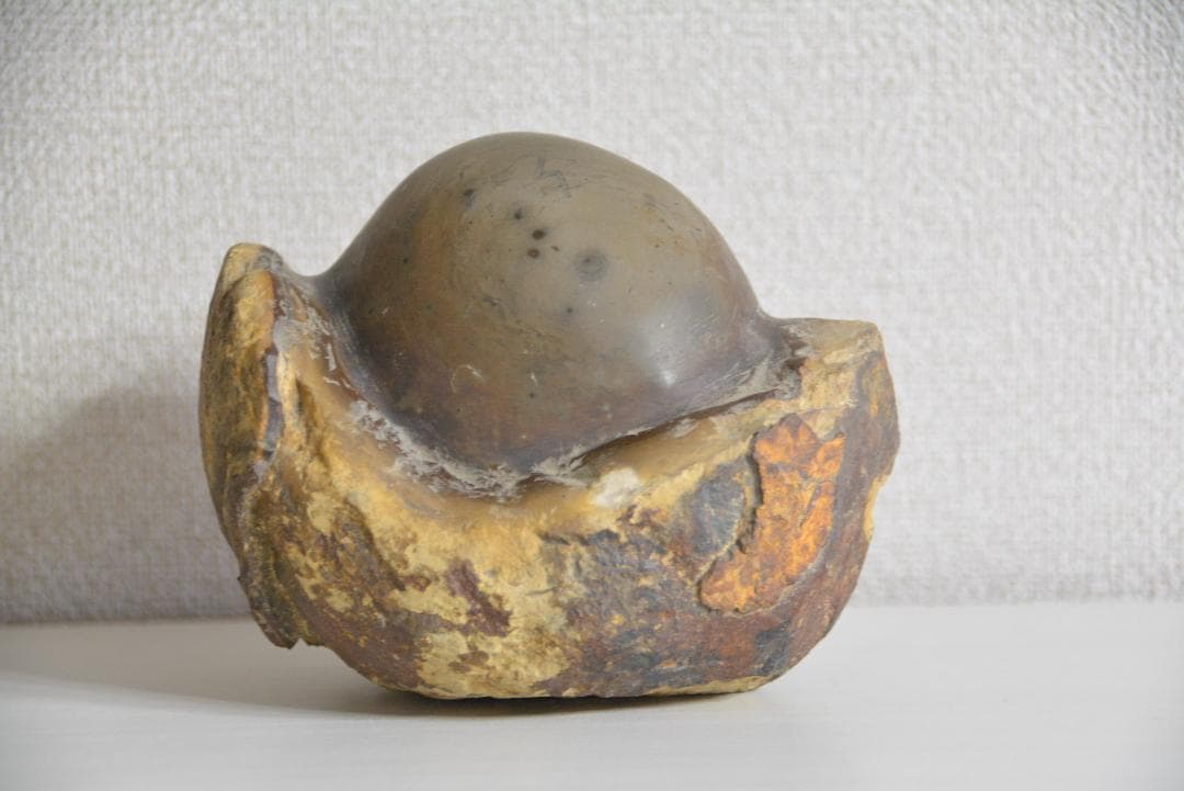 ●学術用●恐竜の卵 たまご 化石 標本 鑑賞石 ★本物