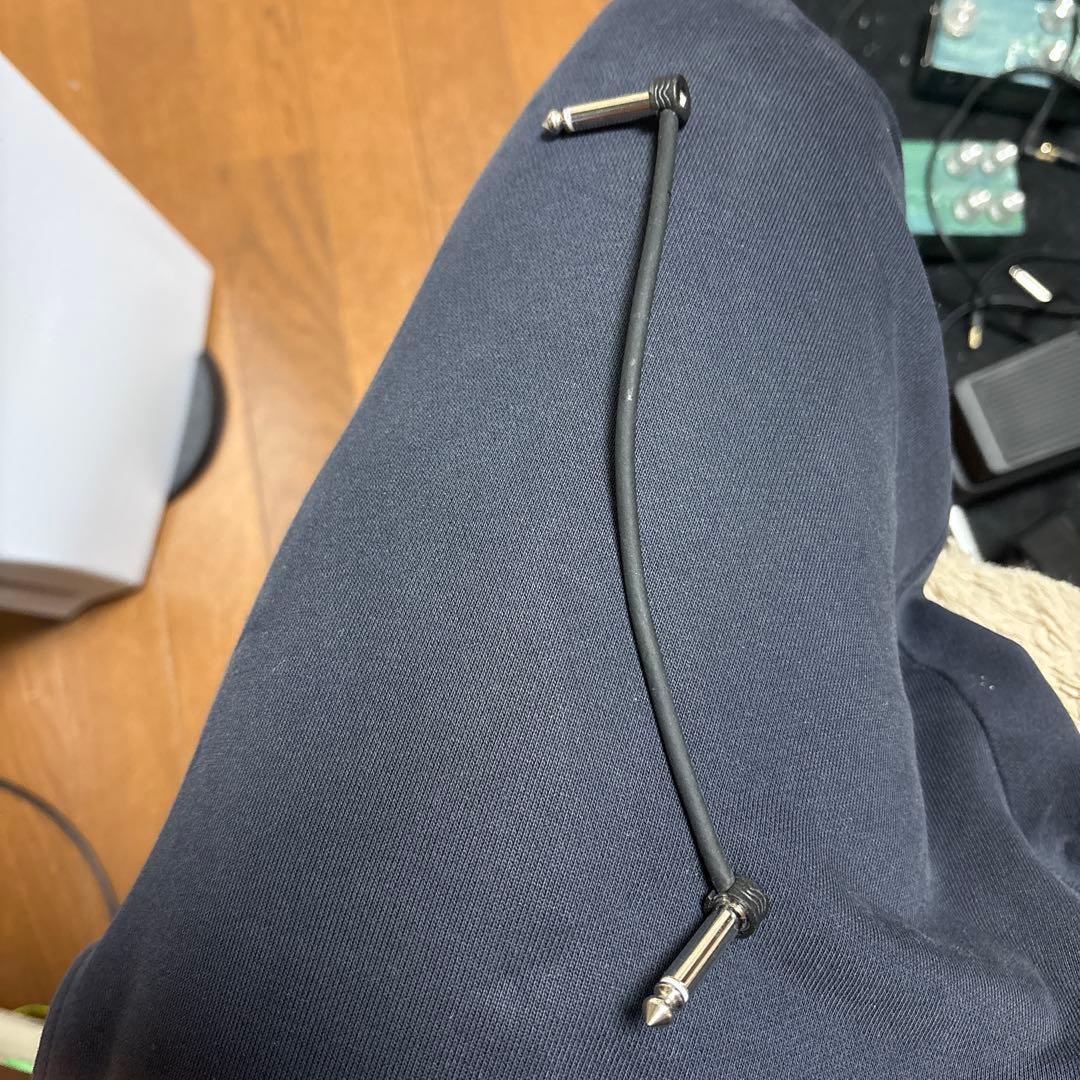 Boss DD-500 ディレイエフェクター + おまけ