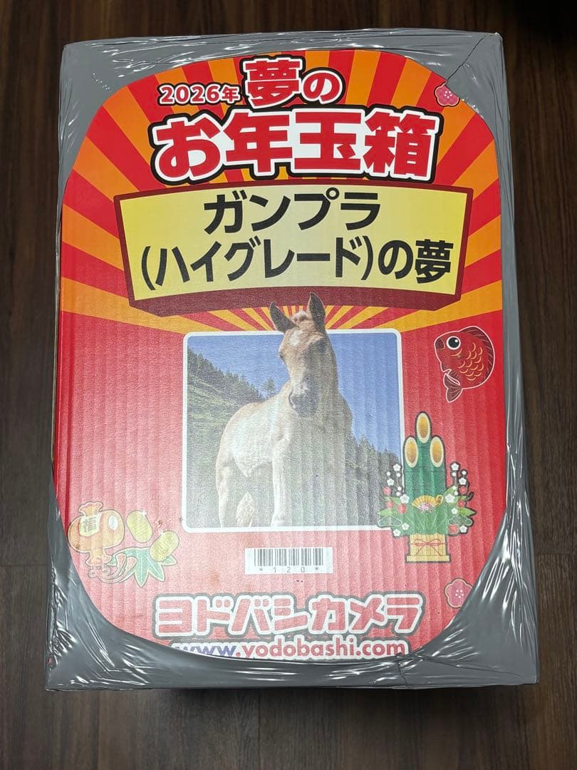2026年 ヨドバシカメラ 福袋 ハイグレードの夢 ガンプラ