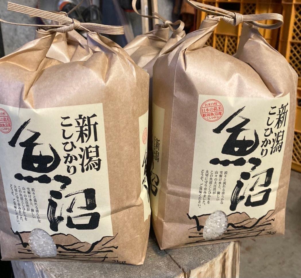 令和7年産　新米　魚沼産コシヒカリ　従来品種　5キロ×2 合計10キロ　白米