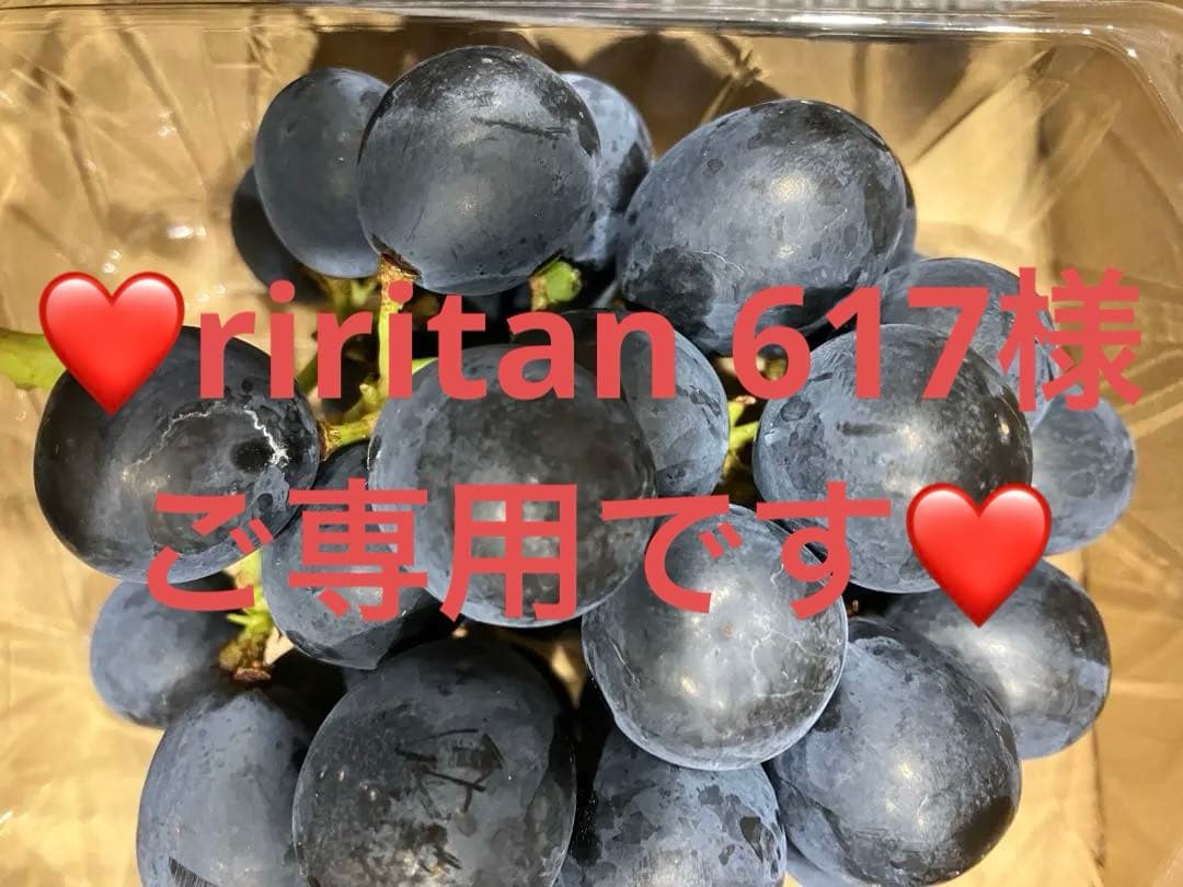 信州産　長野パープルおまとめセット六ふさ おまけ黄色の桃