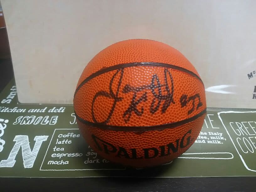 ジェイソンキッドミニバスケットボール