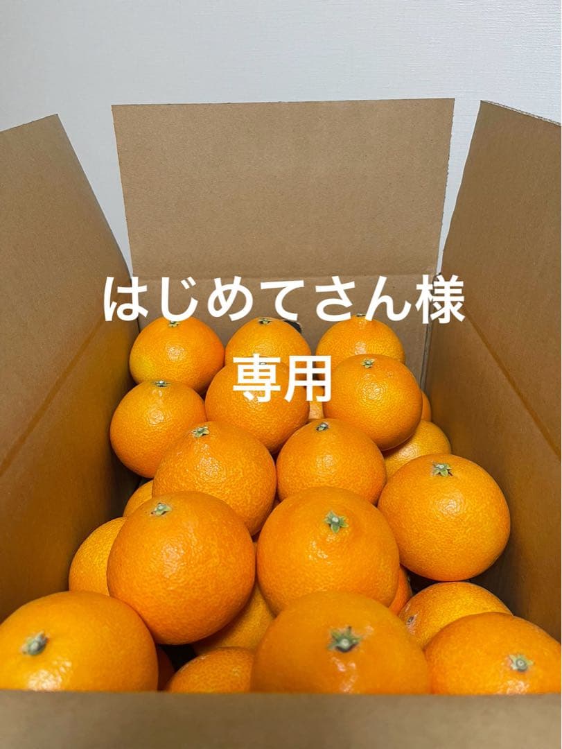 紅まどんな(5kgx2箱)⚠特選L玉