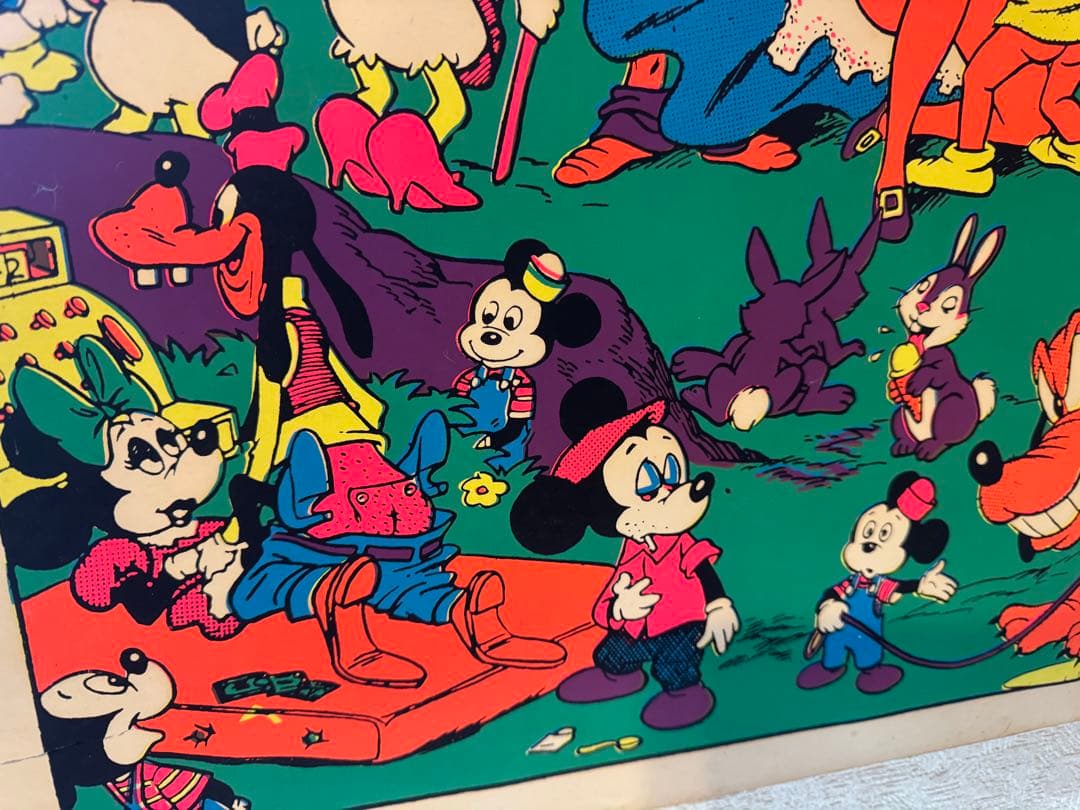 The Disneyland Memorial Orgyポスター