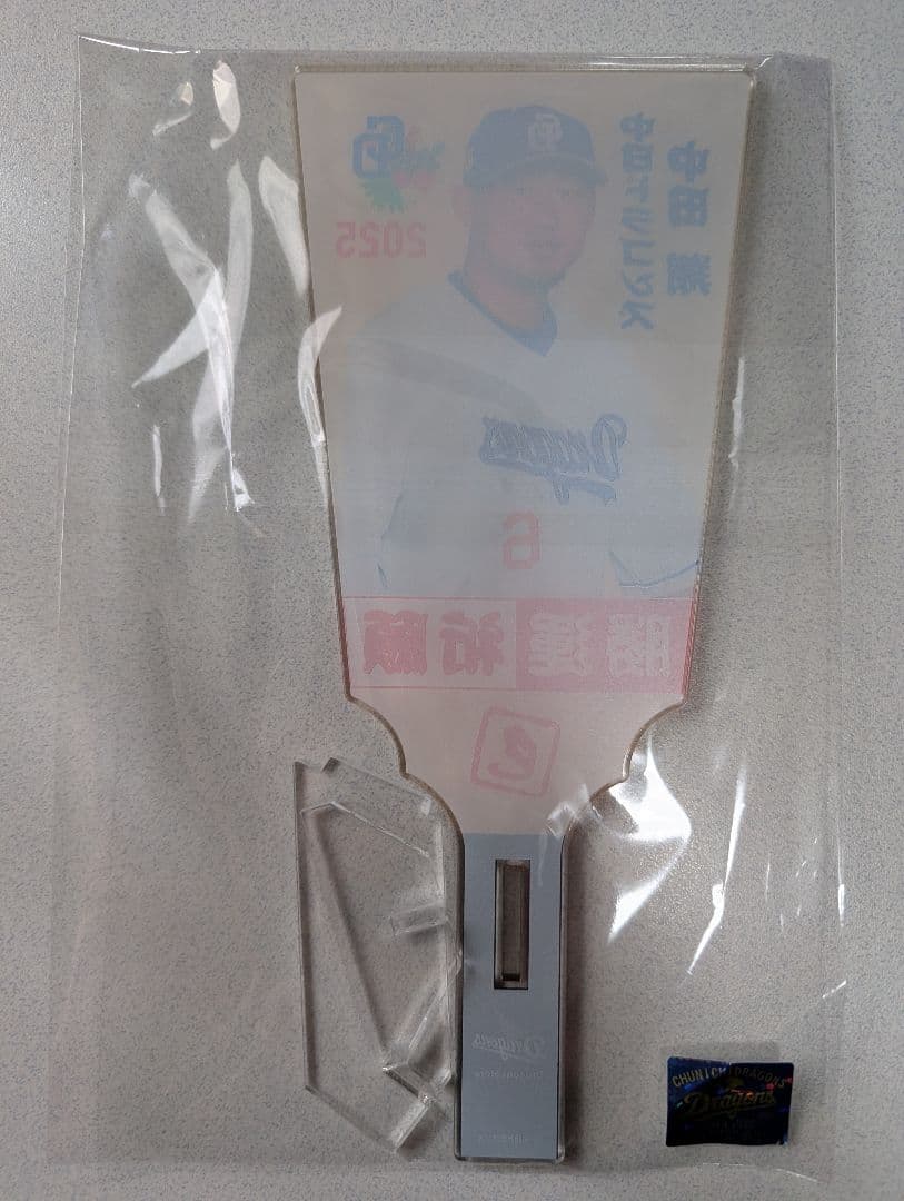 2025年　中日ドラゴンズ　アクリル絵馬　中田翔　BIG当たり羽子板