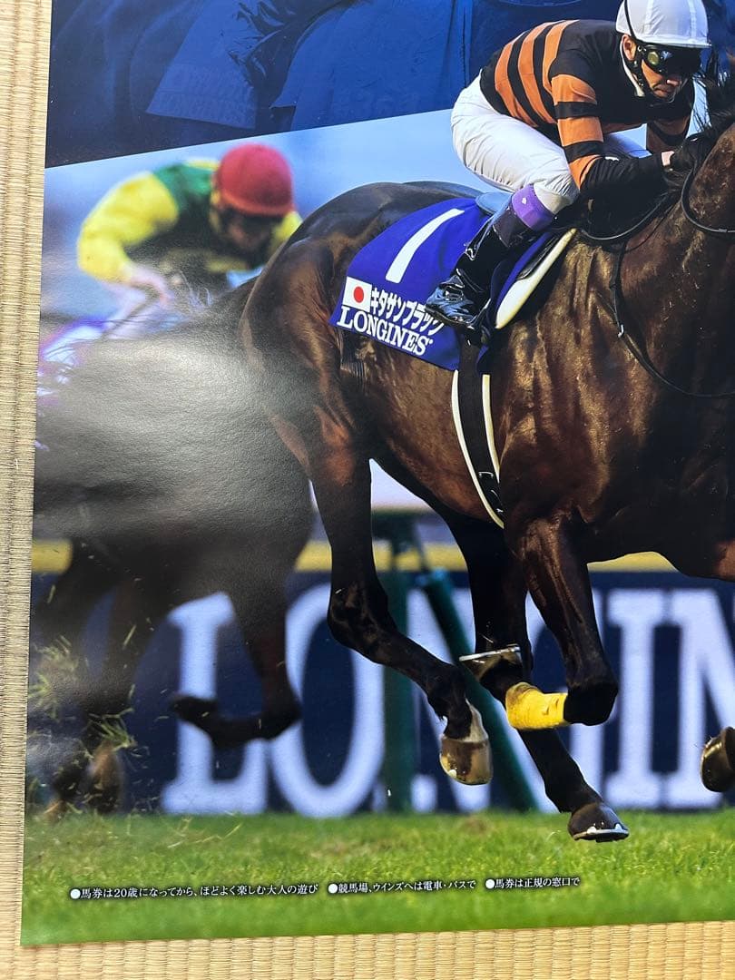【非売品】競馬　ジャパンカップ ポスター キタサンブラック　武豊　ウマ娘　B1