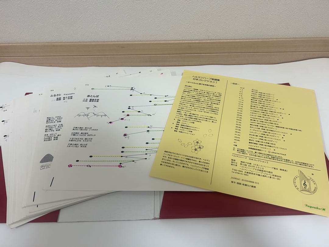 ヘルマンハープ Mタイプ 25弦 2013年製