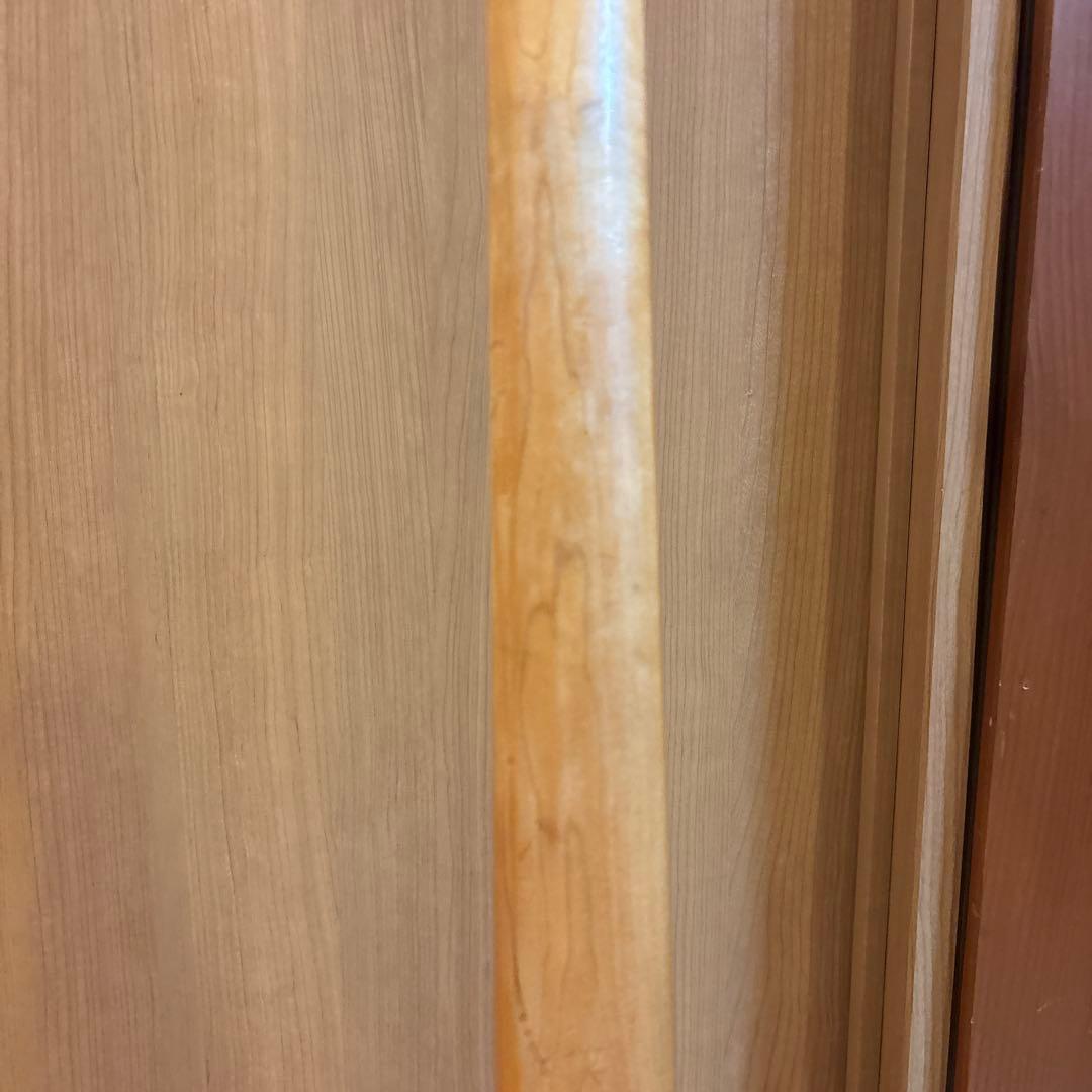 FERNANDES FSR-50 ブラックパーツ仕様 アーム・ストラップ　新品弦