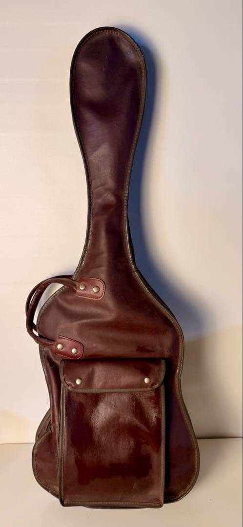 Passion エレキギター ヴィンテージ サンバーストカラー