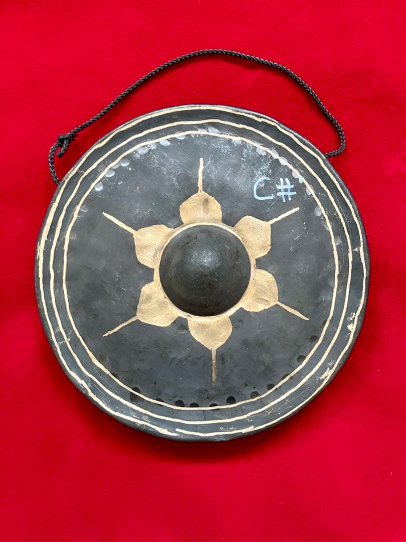 チューンド•タイゴング ハイオクターブ C#' 中古