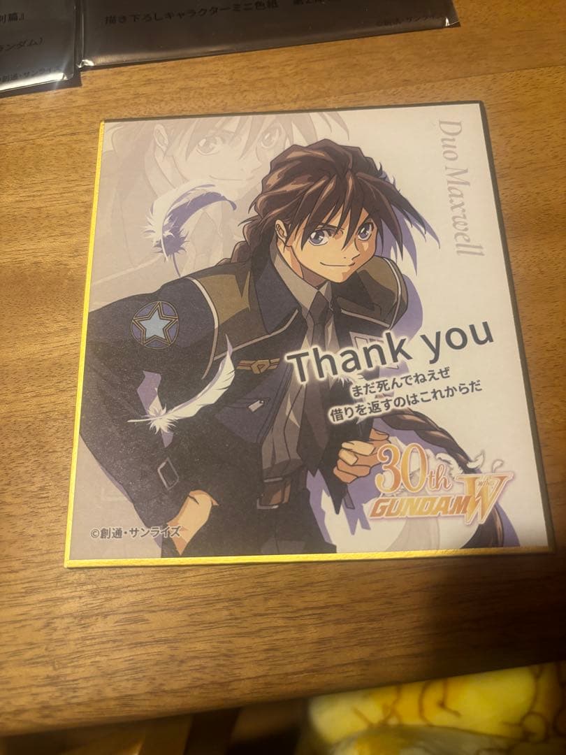 秋*ん様 ガンダムW エンドレスワルツ　２枚セット　ヒイロ、デュオ