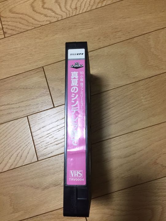 入手困難 VHS 真夏のシンデレラ館で 小椋佳 アルゴミュージカル