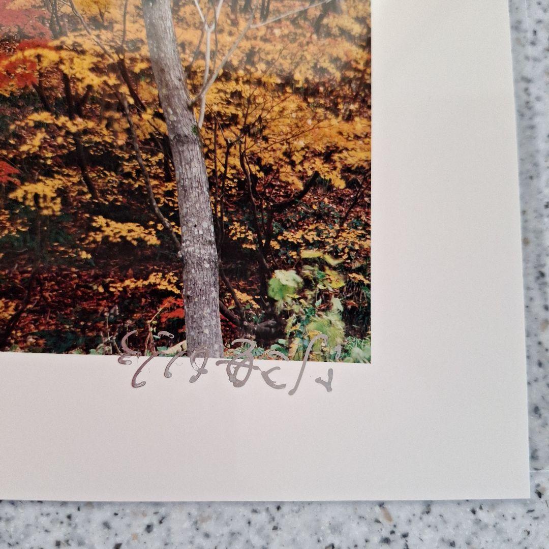 お値下げ中　竹内敏信　風景写真　サイン入り