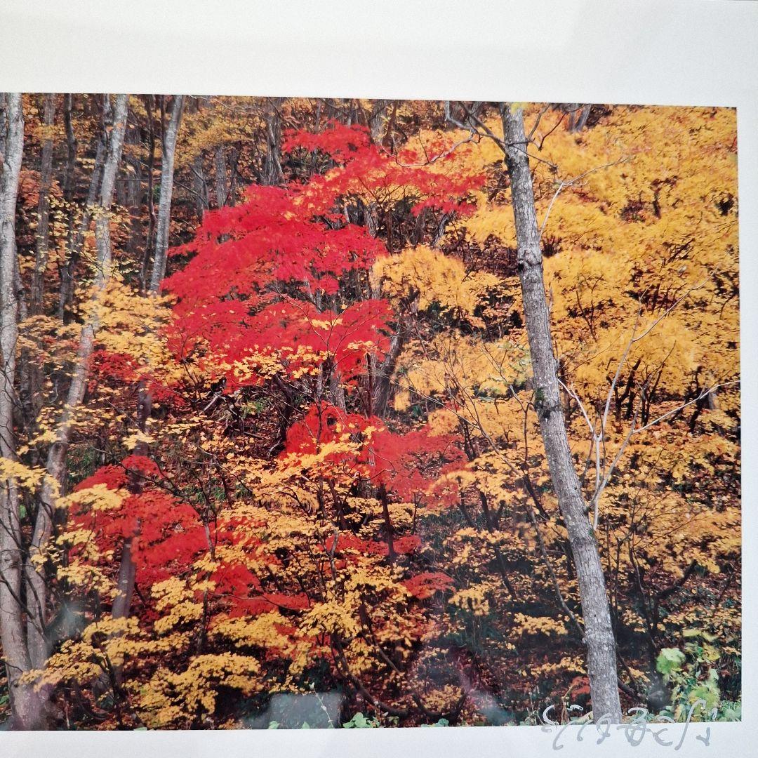 お値下げ中　竹内敏信　風景写真　サイン入り