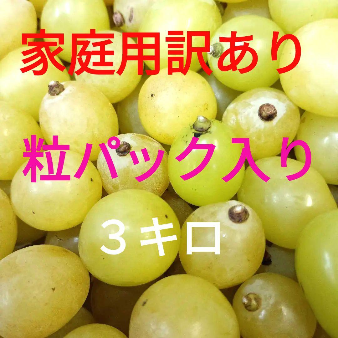 シャインマスカット粒パック入りの家庭用訳有り品３キロになります。
