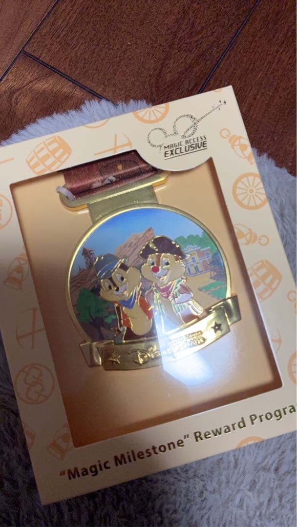 香港ディズニー 年パス 特典 メダル チップ　デール