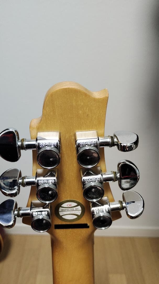 Greg Bennett Interceptor IC-30 フロイドローズ