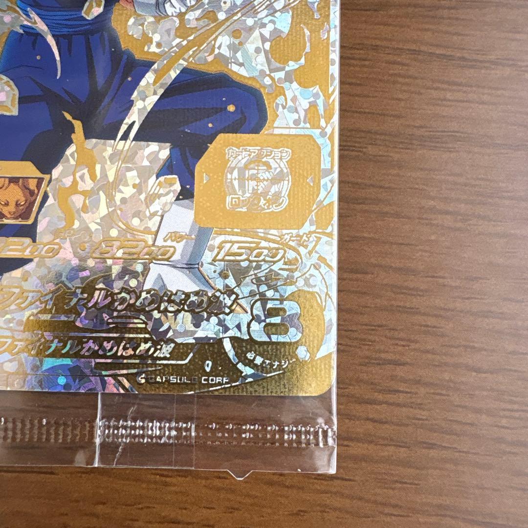 SH1-SEC2 ベジット