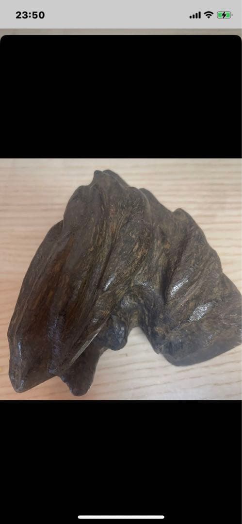 香木、约240克、g