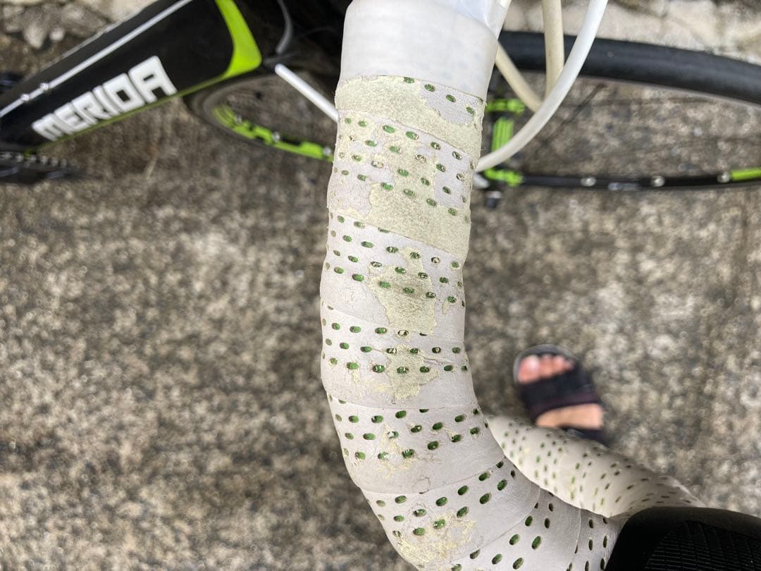 SCULTURA SL TEAM 54cm 6.9kg 大阪府で直接取引か置き配