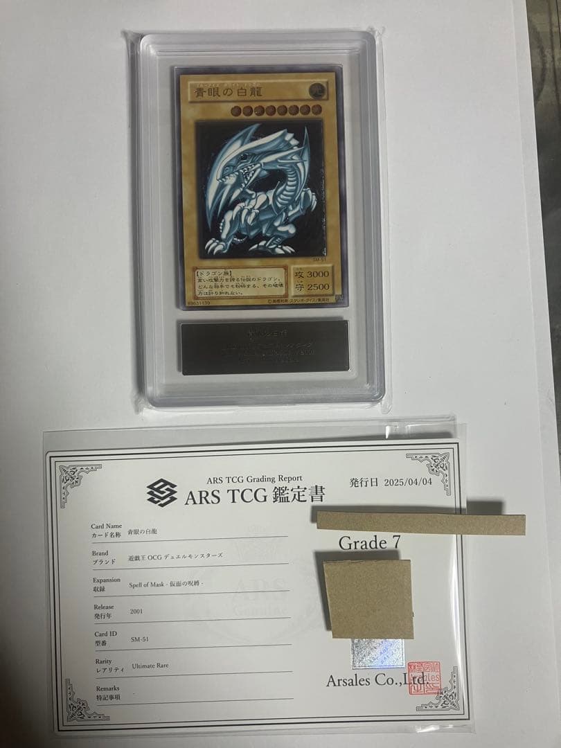 青眼の白龍　レリーフ　ARS7 鑑定書付き　説明文要熟読　値下げ不可　美品