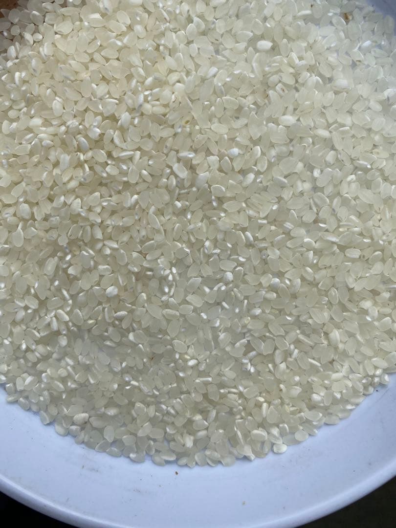 丹波産　コシヒカリ　中米20キロ