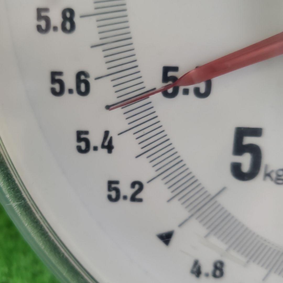 1⃣ 山梨県産 シャインマスカット １1房入り 箱込み5.4キロ