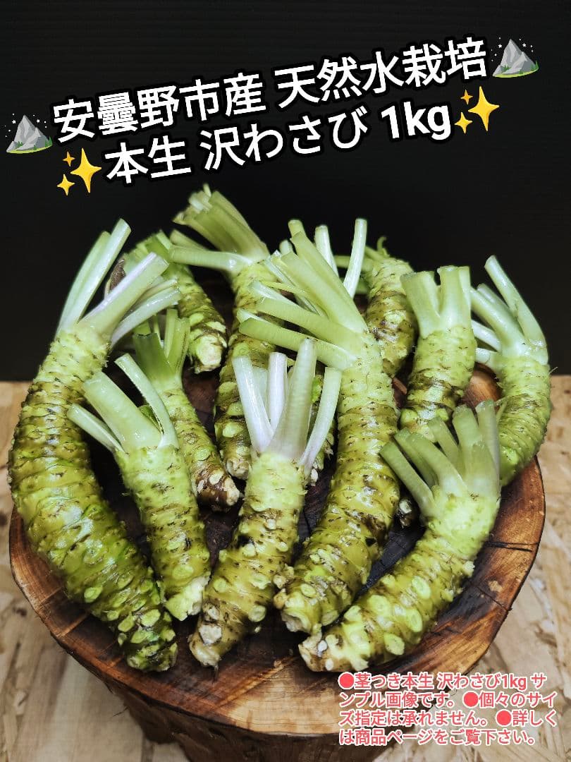 ✨ご注文後に収穫！生わさび 1kg✨ 安曇野産 生わさび わさび 茎付きわさび