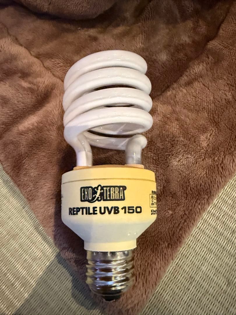 ガラス製 爬虫類飼育用ケージ 30cm ランプ　保温シートフル装備付き