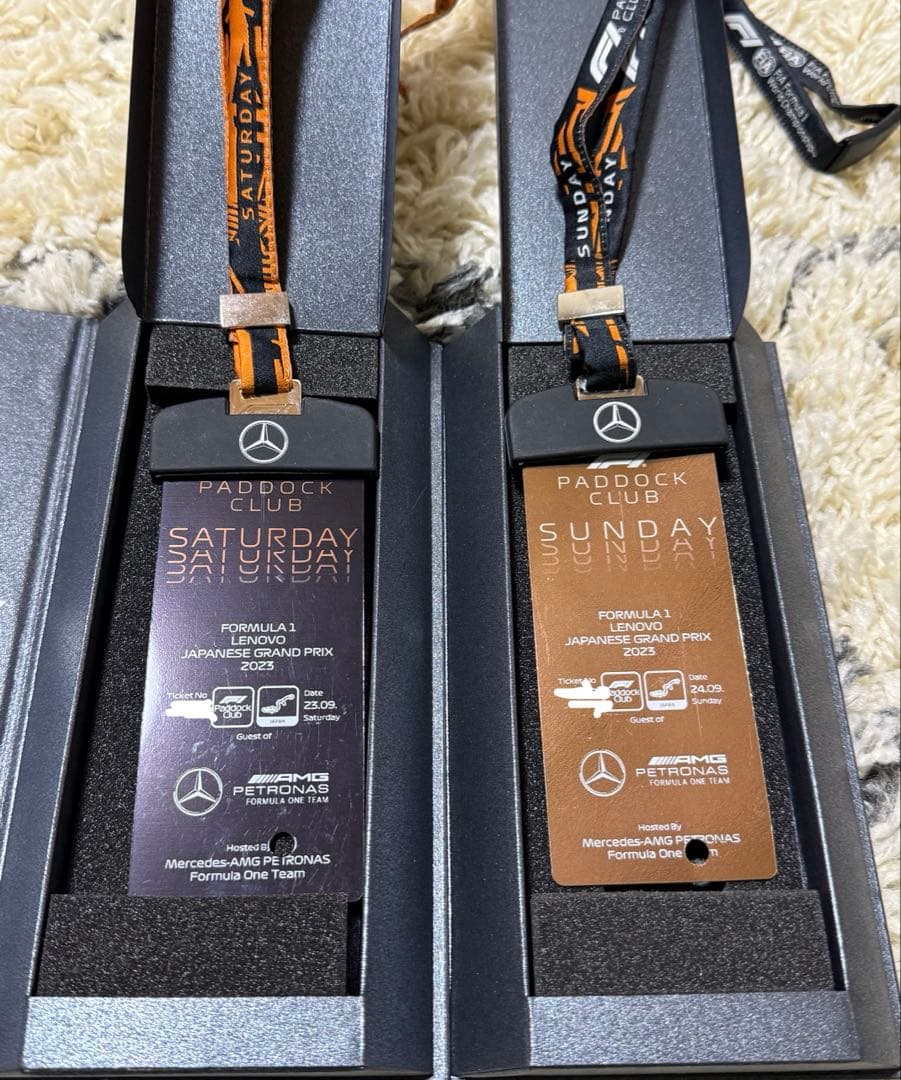 希少F1鈴鹿 2022 パドッククラブパス AMGペトロナス メルセデスチーム