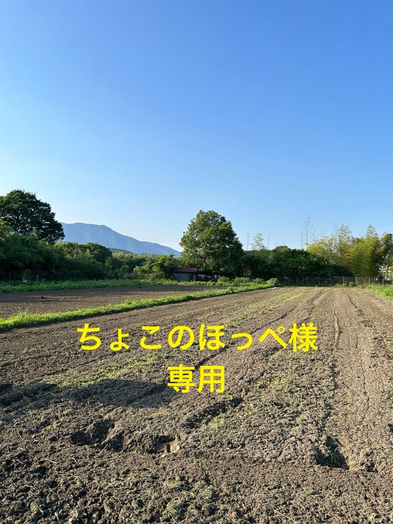 ちょっこのほっぺ