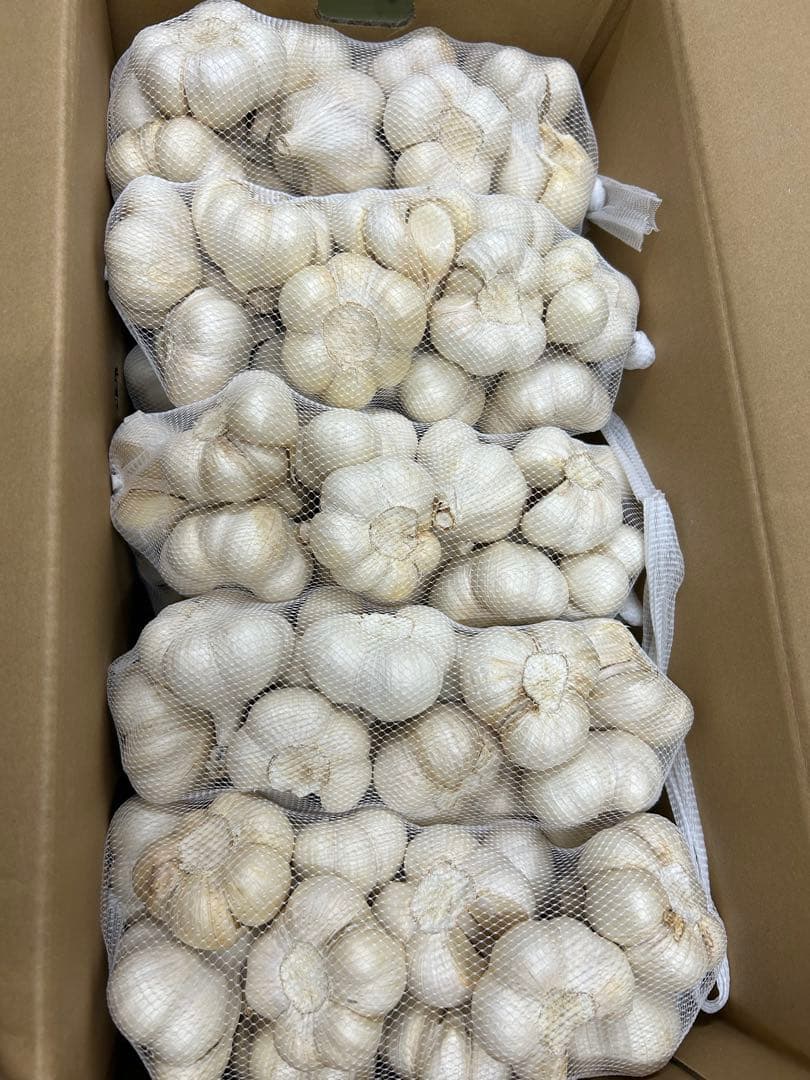 青森産　にんにく　C品Lサイズ　 10キロ　JA全農あおもり