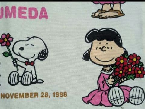 激レア！SNOOPY＆仲間たち　綿トート　 SNOOPYTOWN　梅田　タグ付き