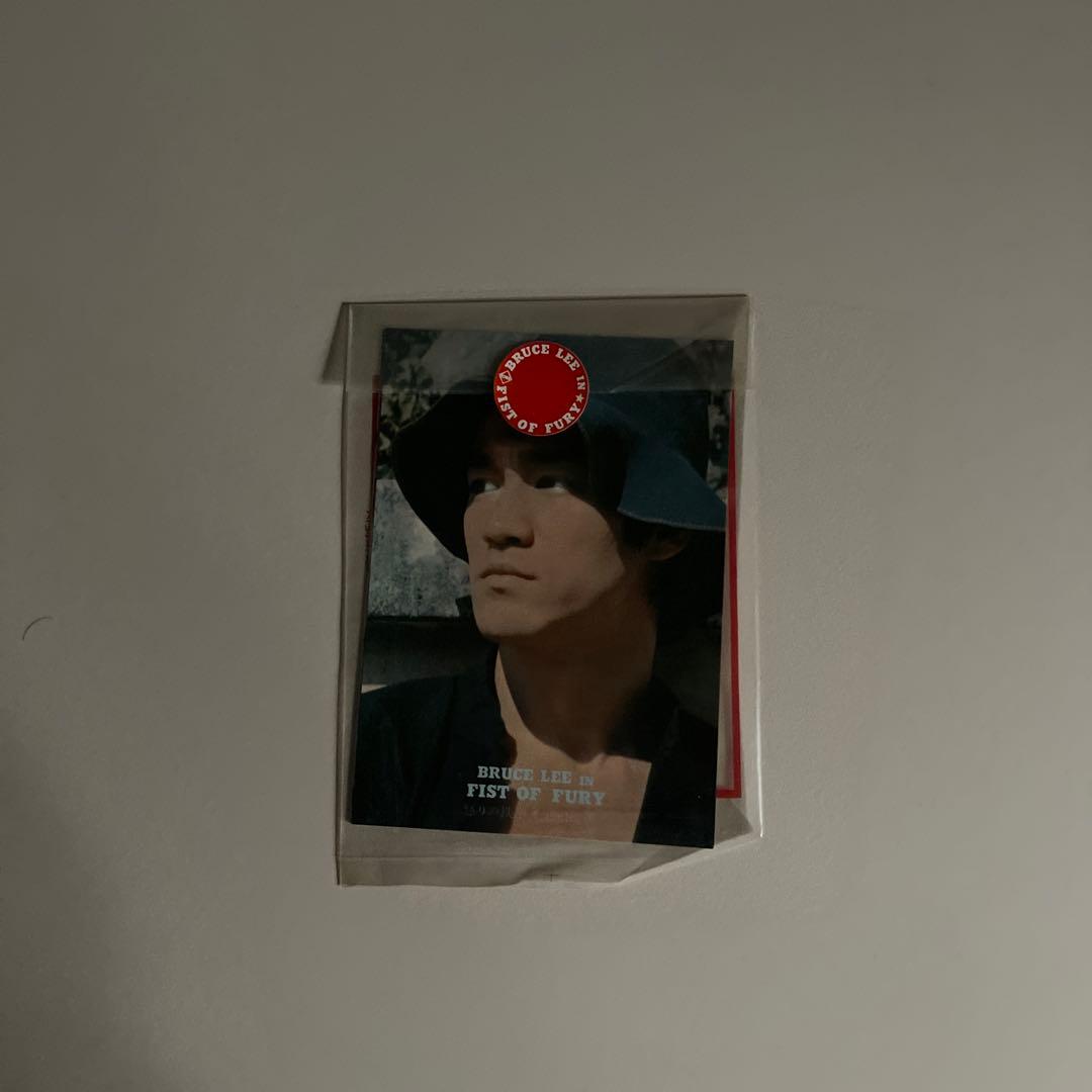 73 ブルースリージークンドー