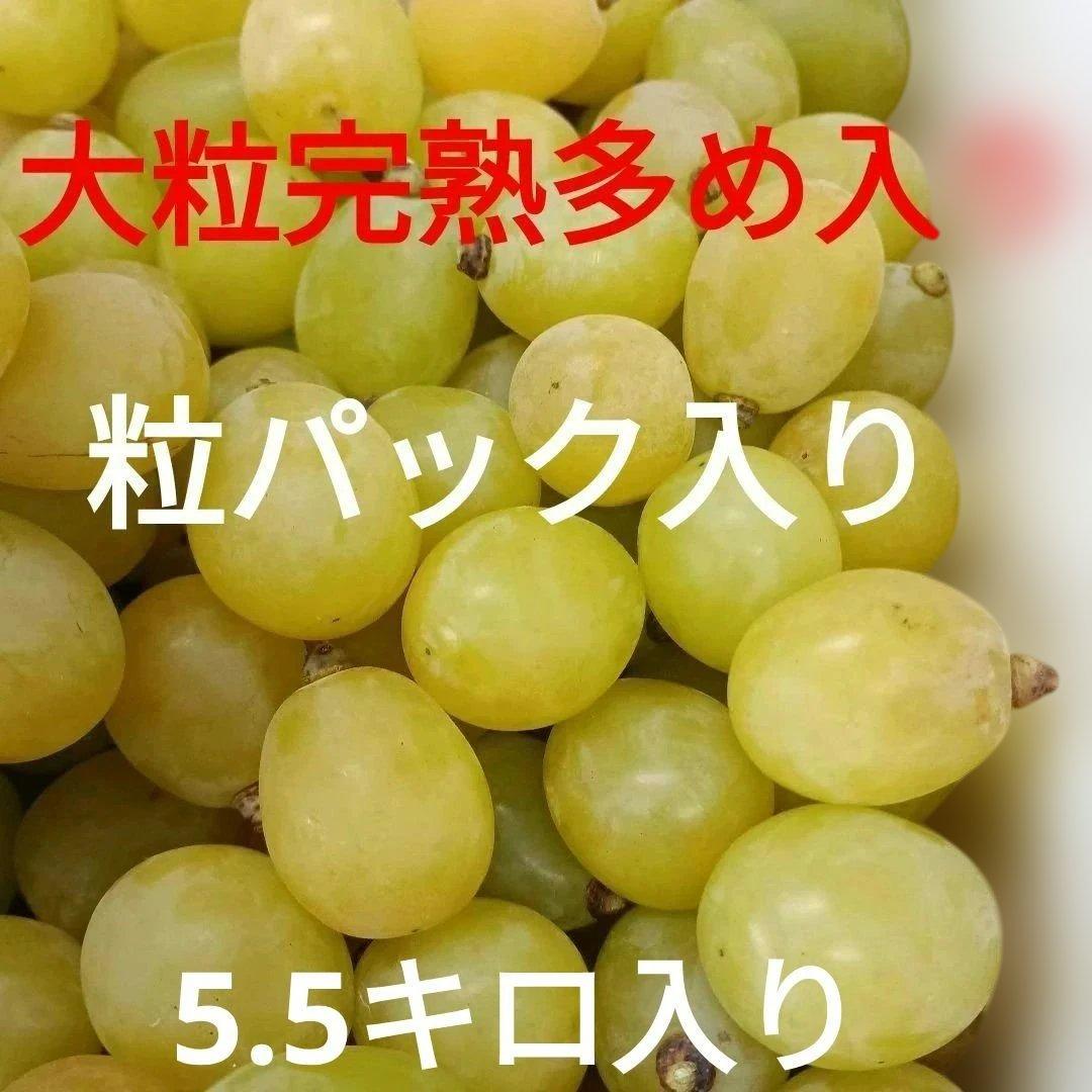 シャインマスカット大粒完熟増量の、徳用5.5キロ入りの粒バック入りになります。