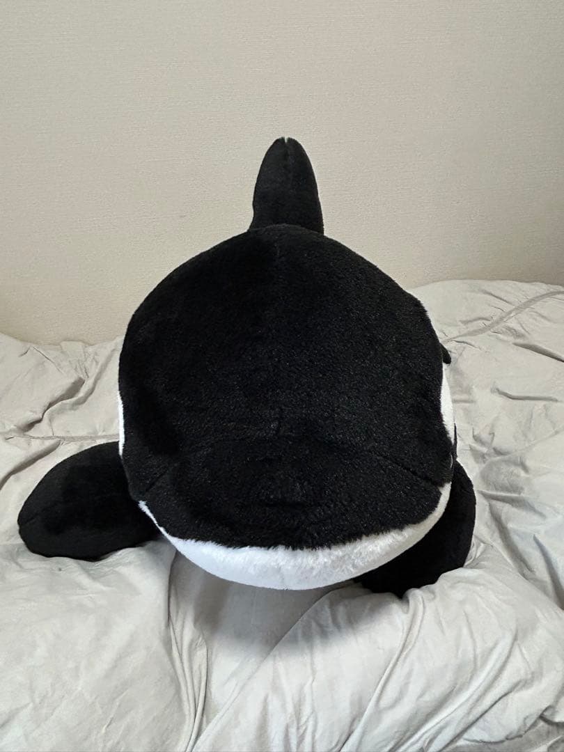シャチくじ　特賞　特等　ぬいぐるみ　名古屋港水族館　100cm
