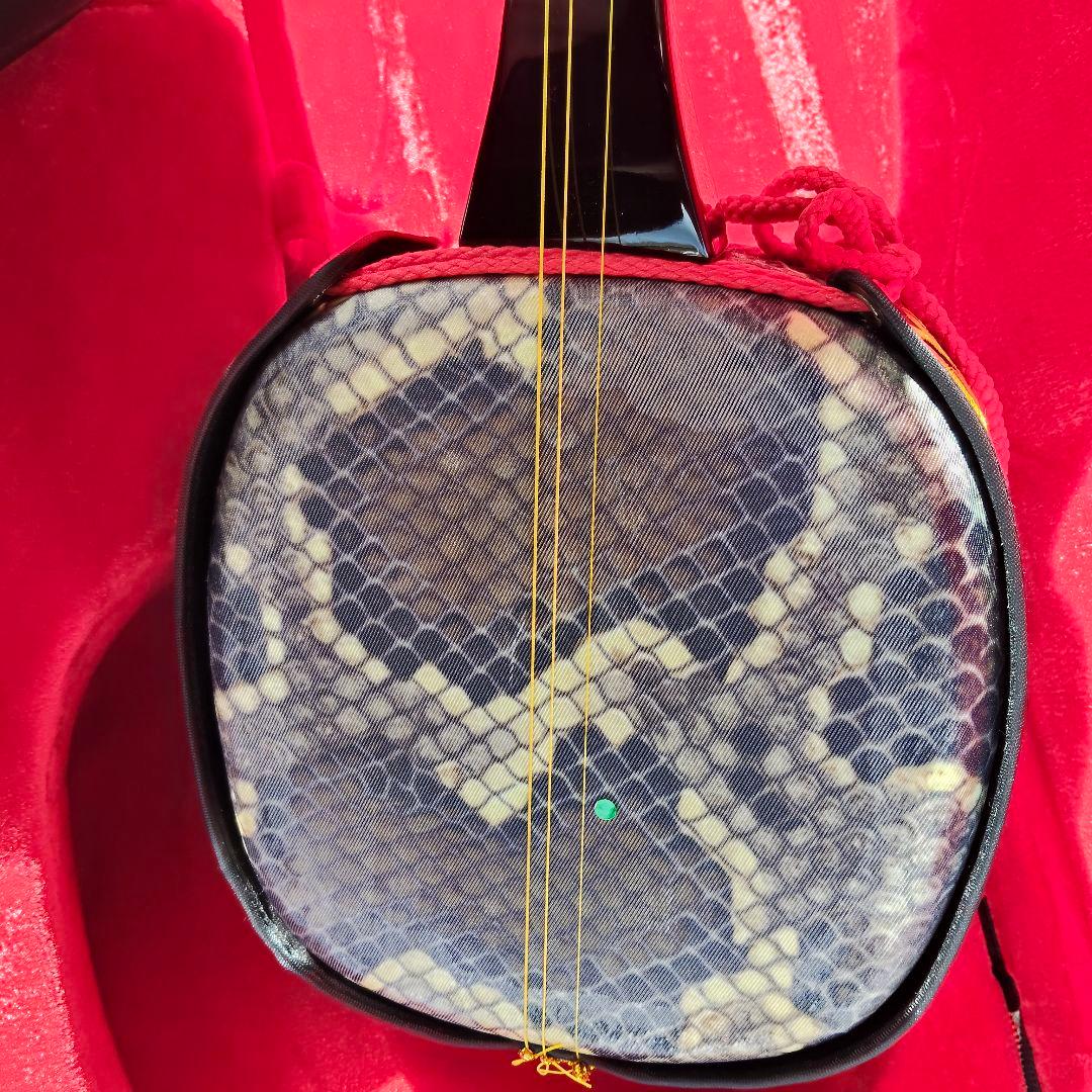 沖縄三線 蛇皮柄 人工皮 ハードケース付き 伝統楽器 さんしん 民族楽器 初心者