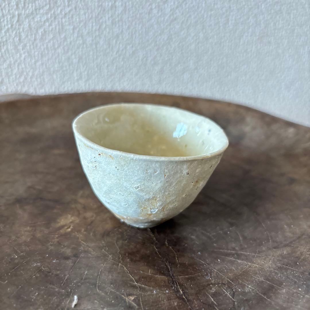 内田鋼一氏作 加彩盃