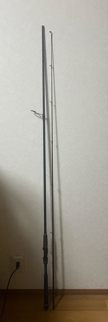 かめかめ　ダイワ　ラテオ（旧モデル）　96m