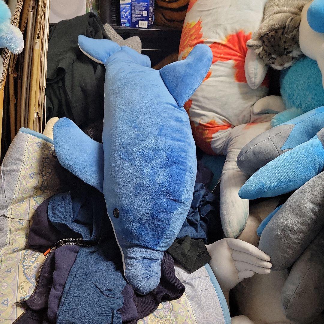 イルカぬいぐるみ